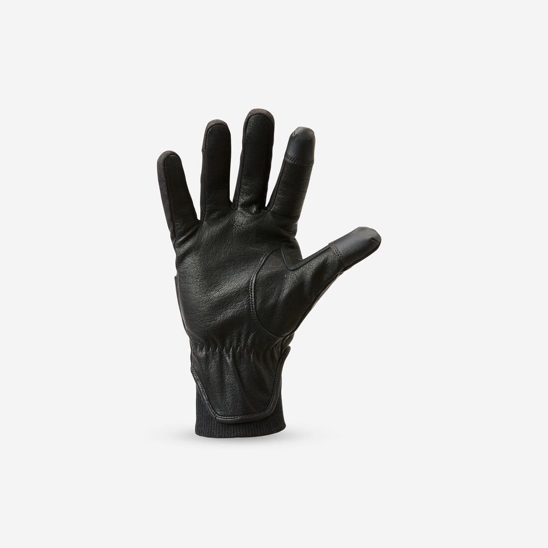 IMG_8798235_3