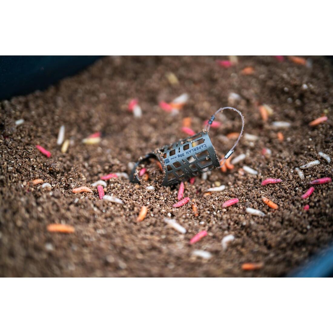 IMG_8790094_9