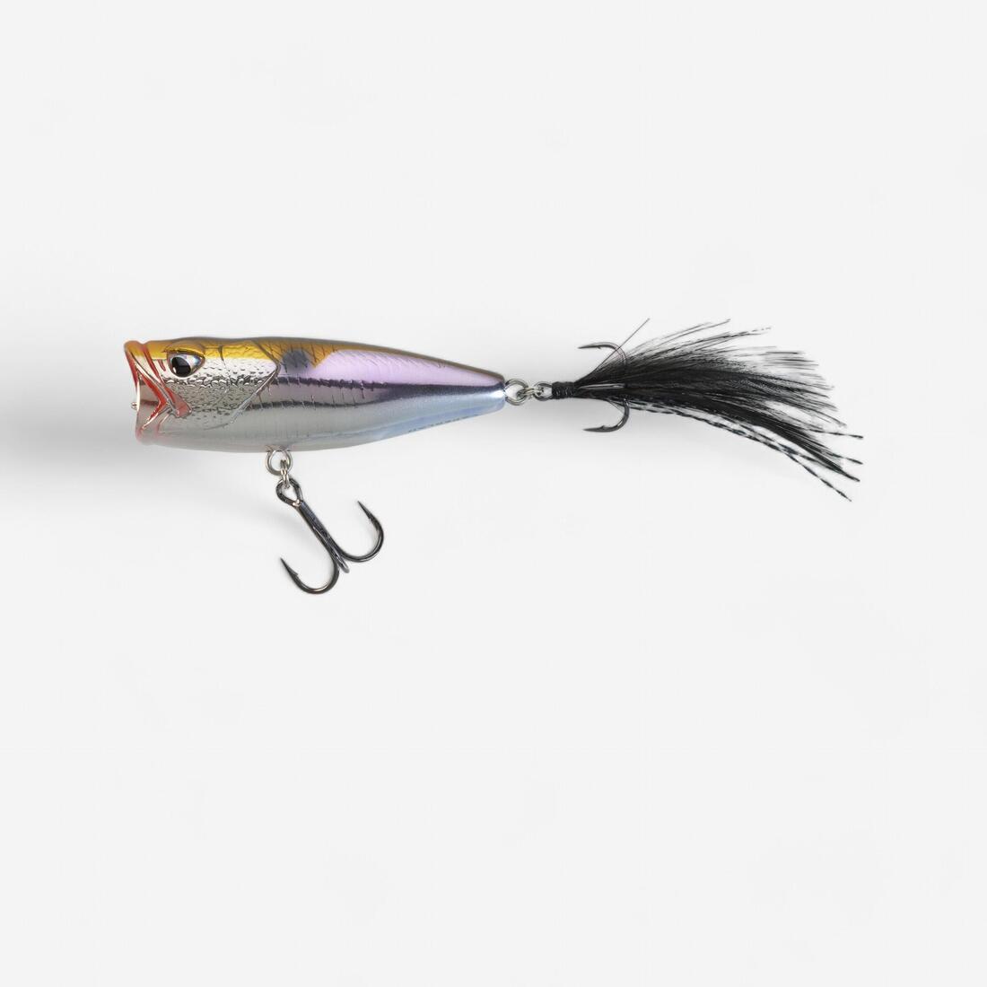 IMG_8613289_1