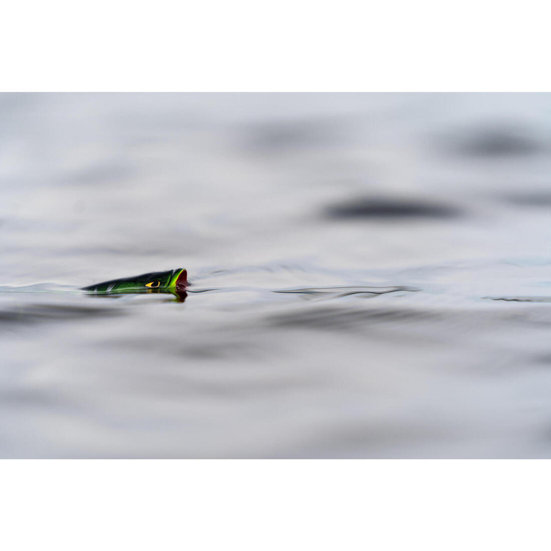 IMG_8573606_6