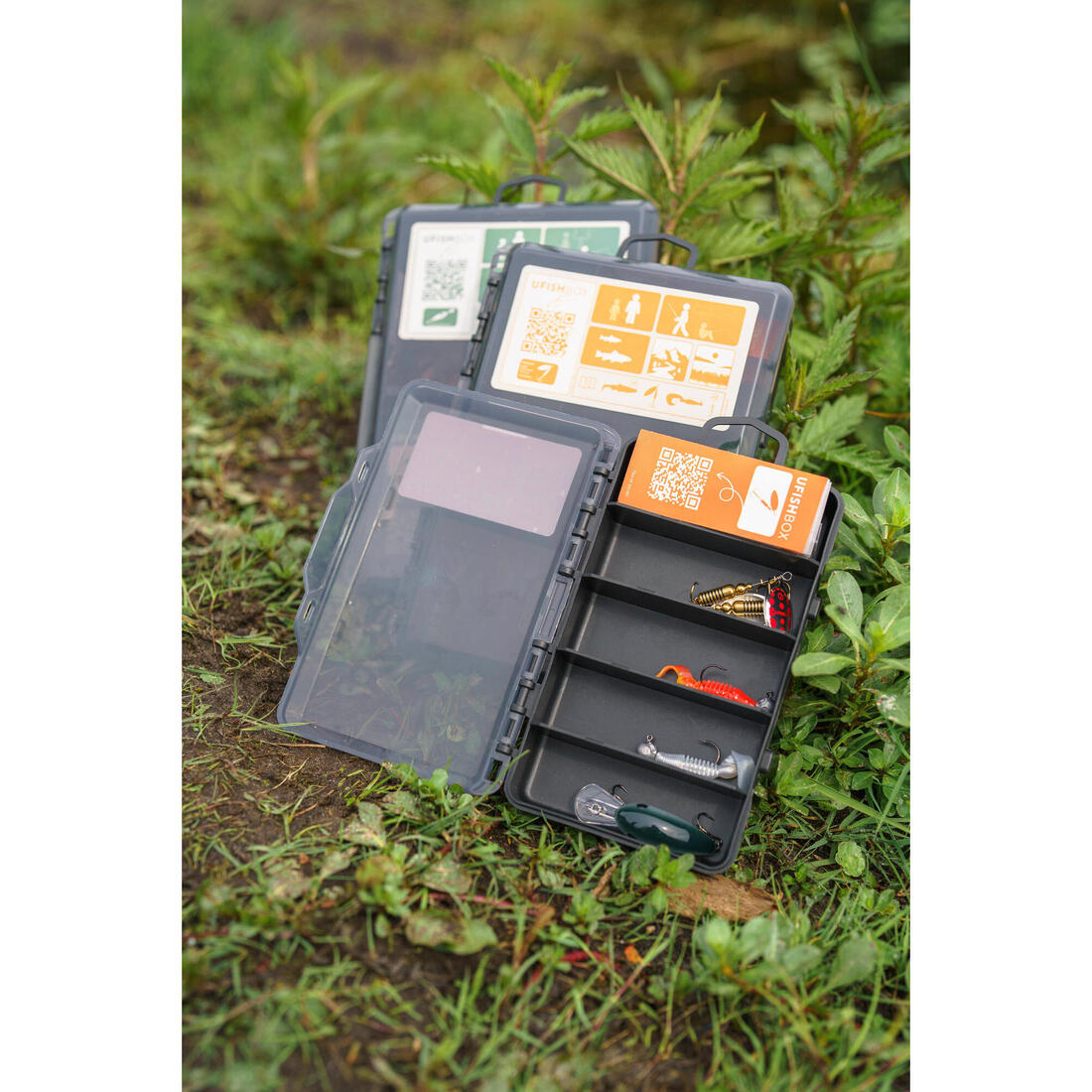 IMG_8843325_3